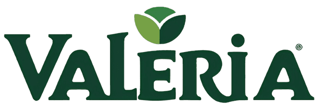 Evernote Logo